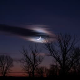 Lilith in Astrology: Black Moon Lilith Meaning and Placements